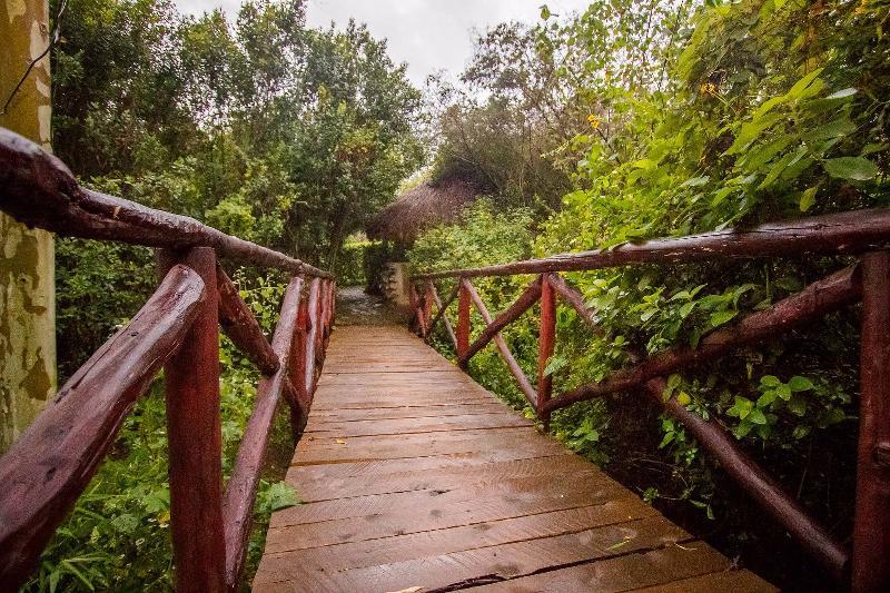 Dove Nest Lodge Найваша Екстер'єр фото